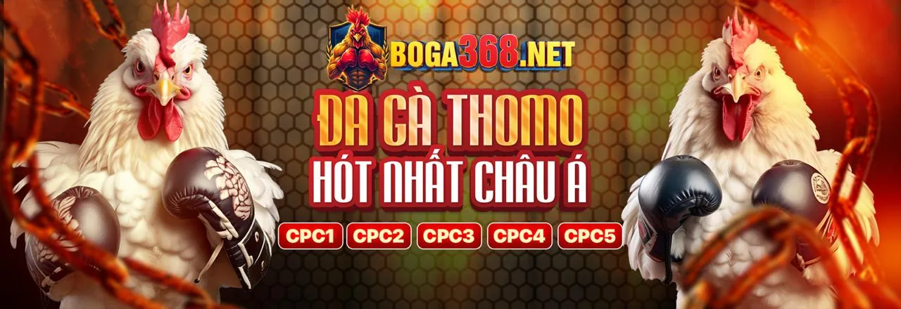 Đá gà trực tuyến fcb8 code